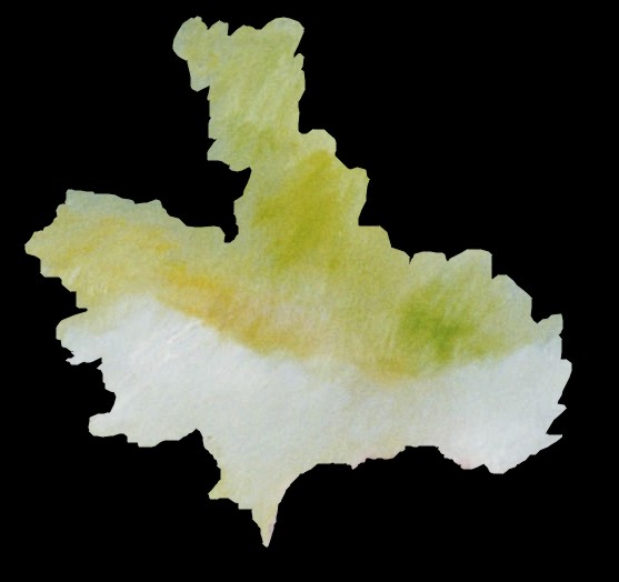 particolare