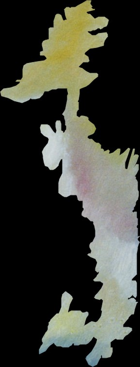 particolare